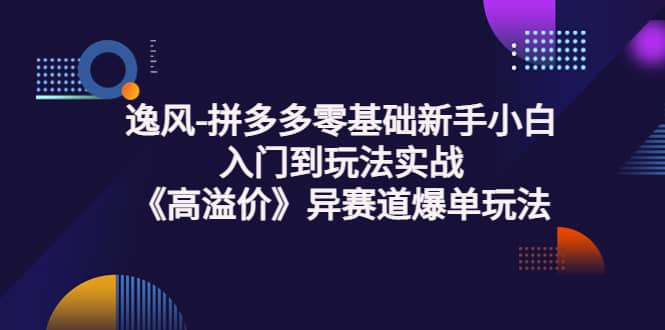 拼多多零基础新手小白入门到玩法实战《高溢价》异赛道爆单玩法实操课网创吧-网创项目资源站-副业项目-创业项目-搞钱项目左姐网创