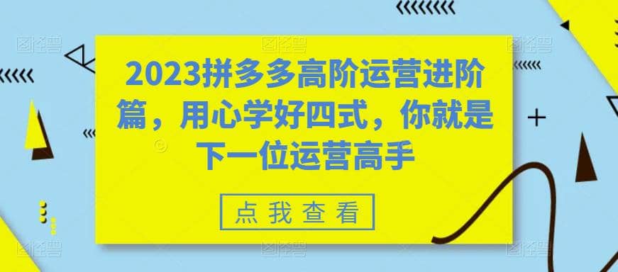 2023拼多多高阶运营进阶篇，用心学好四式，你就是下一位运营高手网创吧-网创项目资源站-副业项目-创业项目-搞钱项目左姐网创