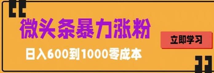 微头条暴力涨粉技巧搬运文案就能涨几万粉丝，简单0成本，日赚600网创吧-网创项目资源站-副业项目-创业项目-搞钱项目左姐网创