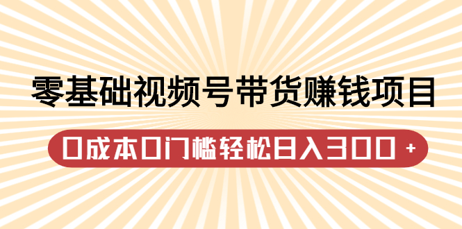 零基础视频号带货赚钱项目，0成本0门槛轻松日入300+【视频教程】网创吧-网创项目资源站-副业项目-创业项目-搞钱项目左姐网创