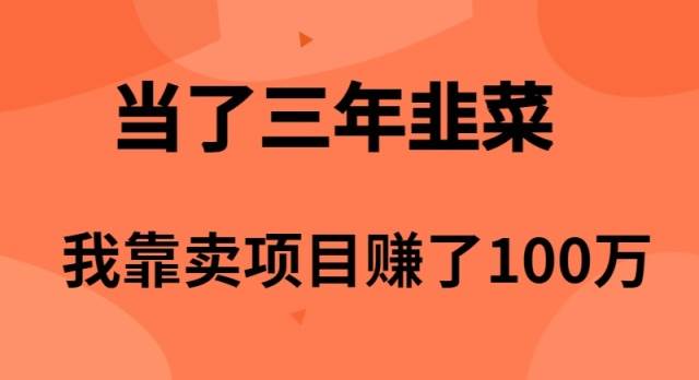 当了3年韭菜，我靠卖项目赚了100万网创吧-网创项目资源站-副业项目-创业项目-搞钱项目左姐网创