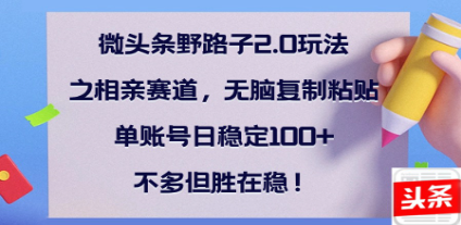 全网首发微头条野路子2.0玩法之相亲赛道，无脑搬砖复制粘贴，单账号日稳定300+保姆级教程网创吧-网创项目资源站-副业项目-创业项目-搞钱项目左姐网创